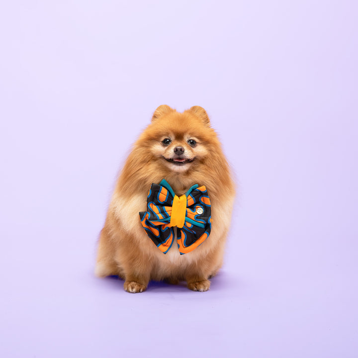 Plushy Bow - Orange Splash