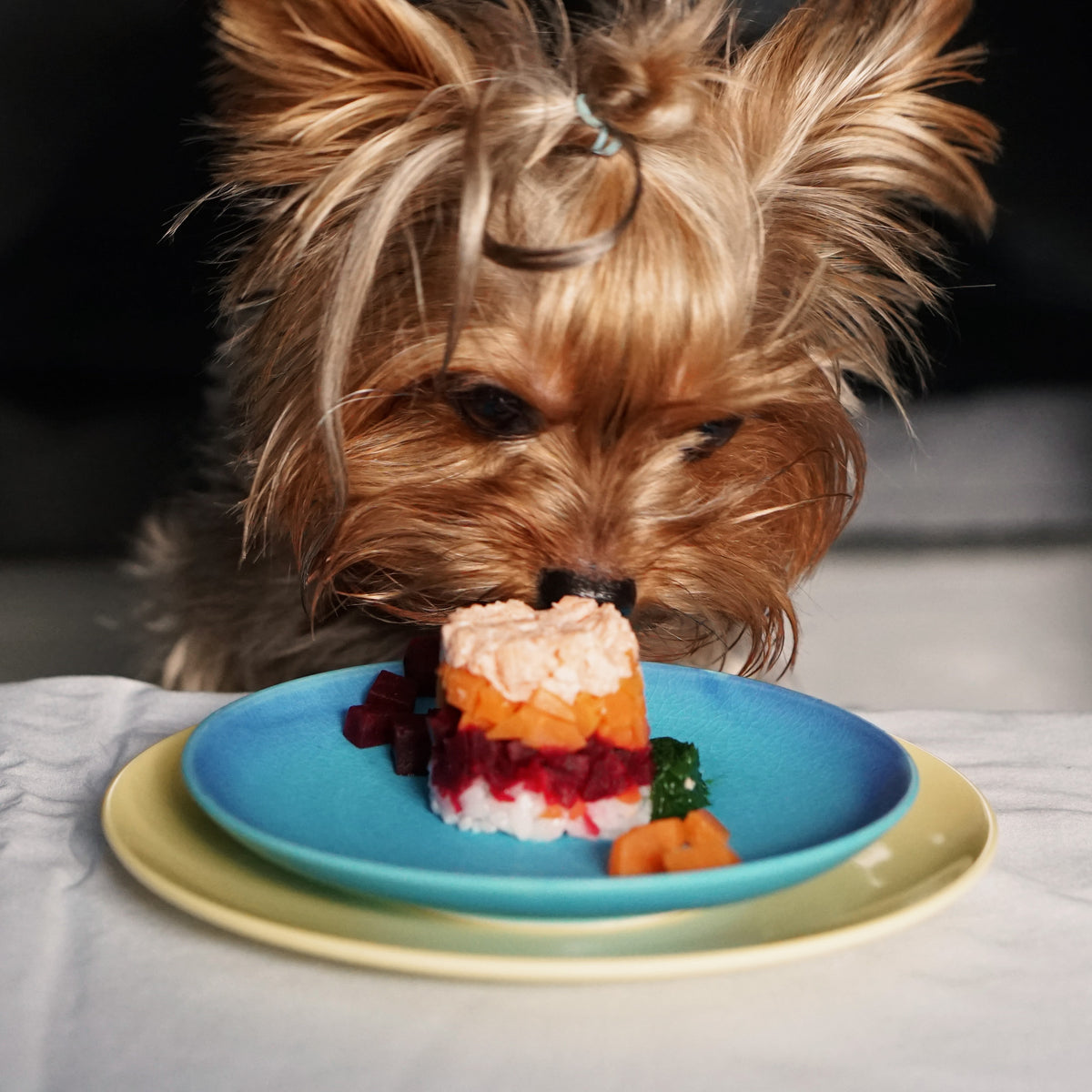 Homemade Dog Food Recipe - Salmon Tower