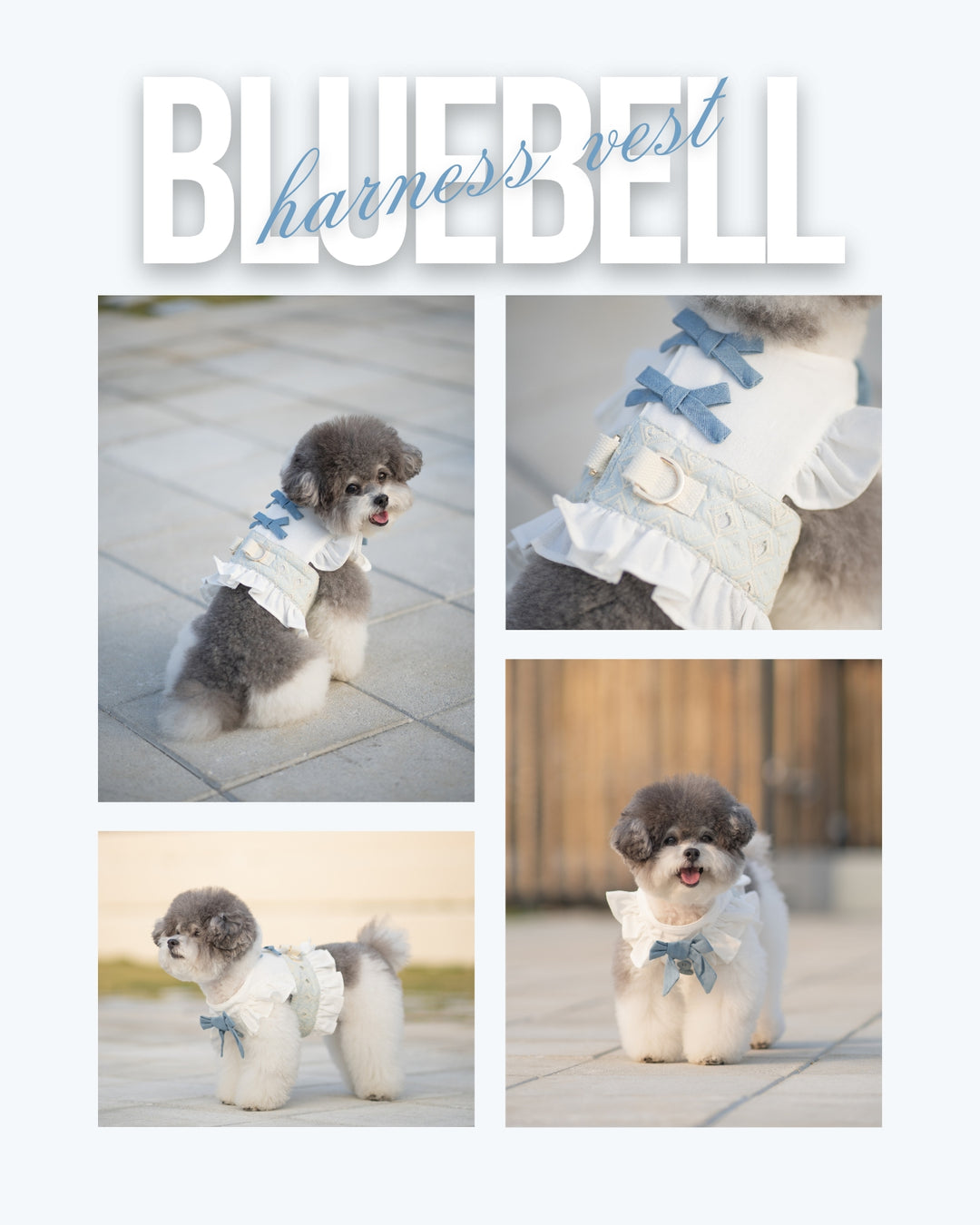 BLUEBELL HARNESS VEST (BACK VELCRO)