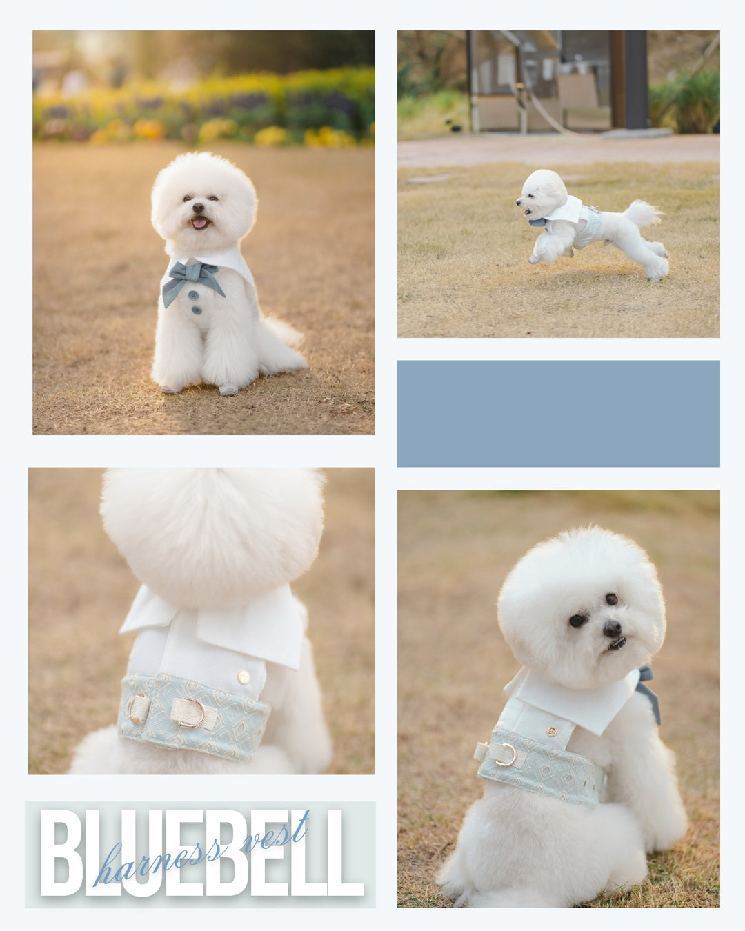 BLUEBELL HARNESS VEST (BACK VELCRO)