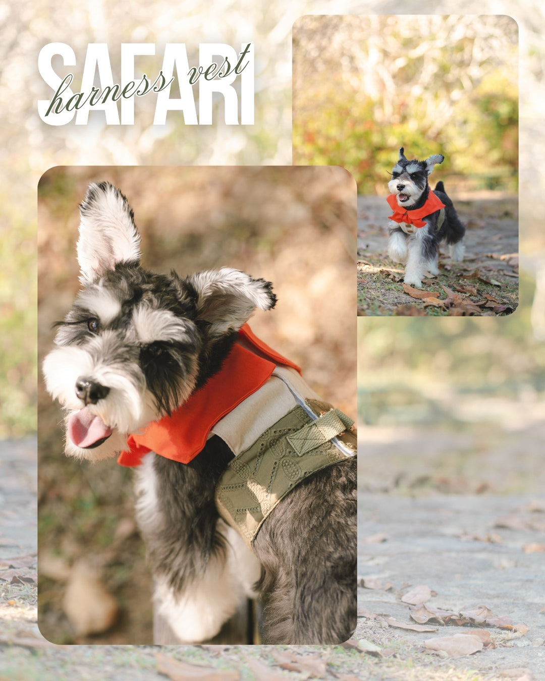 SAFARI HARNESS VEST (BACK VELCRO)