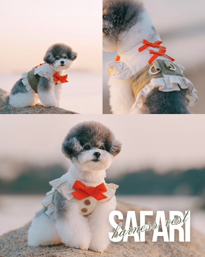 SAFARI HARNESS VEST (BACK VELCRO)