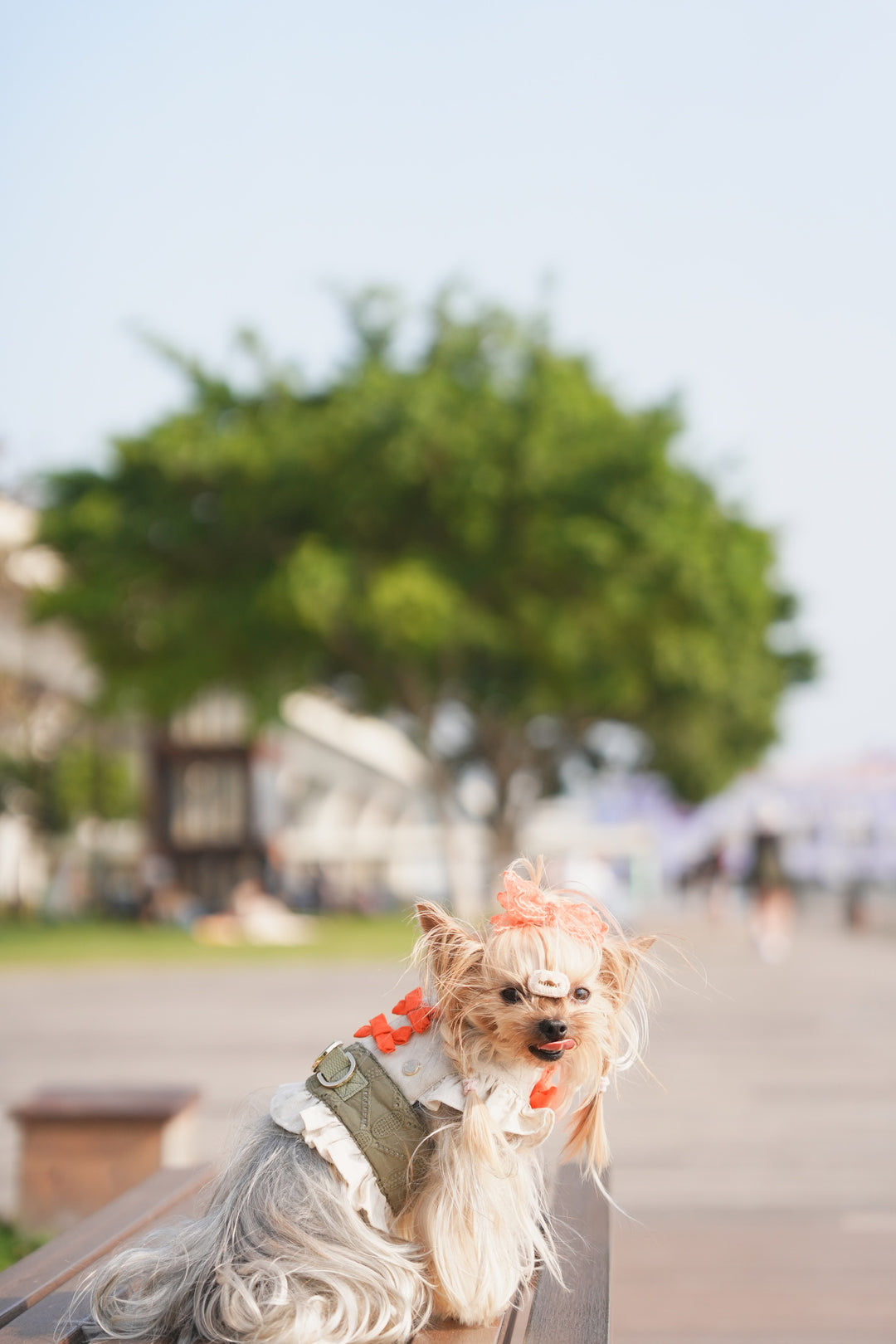 SAFARI HARNESS VEST (BACK VELCRO)