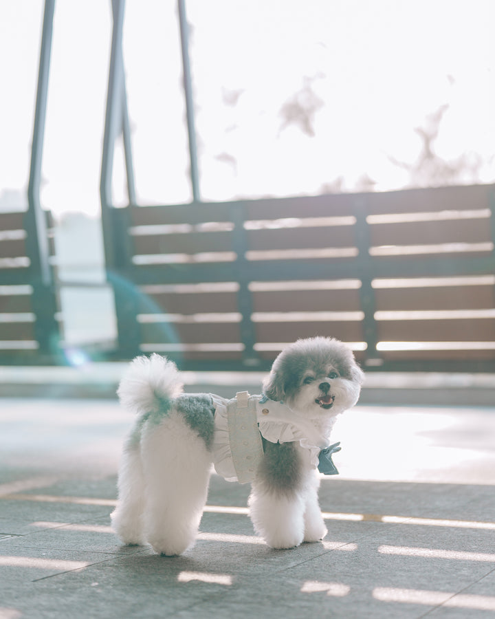 BLUEBELL HARNESS VEST (BACK VELCRO)