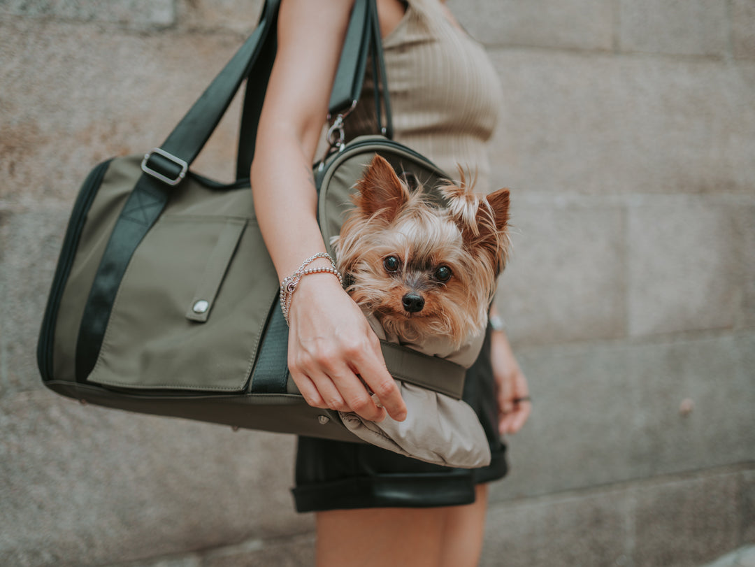 Koala Pet Carrier 2.0 in Military Green (Water Resistant Nylon)