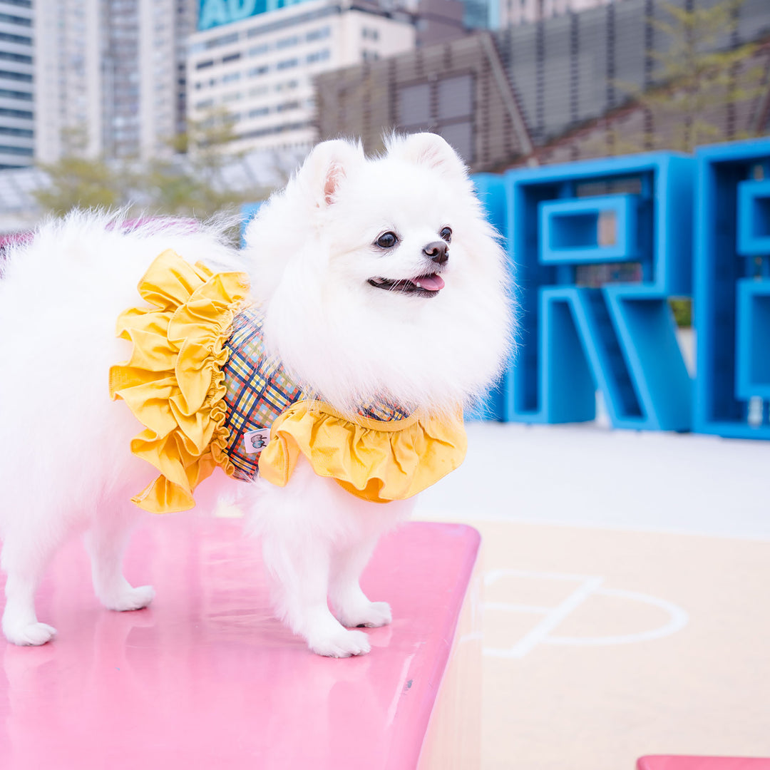 Ruffle Harness - Yellow Tartan