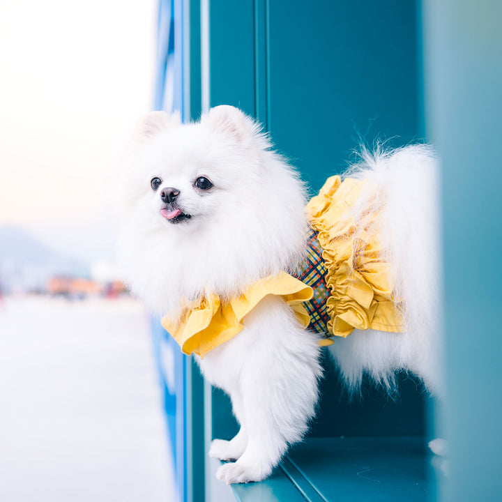 Ruffle Harness - Yellow Tartan