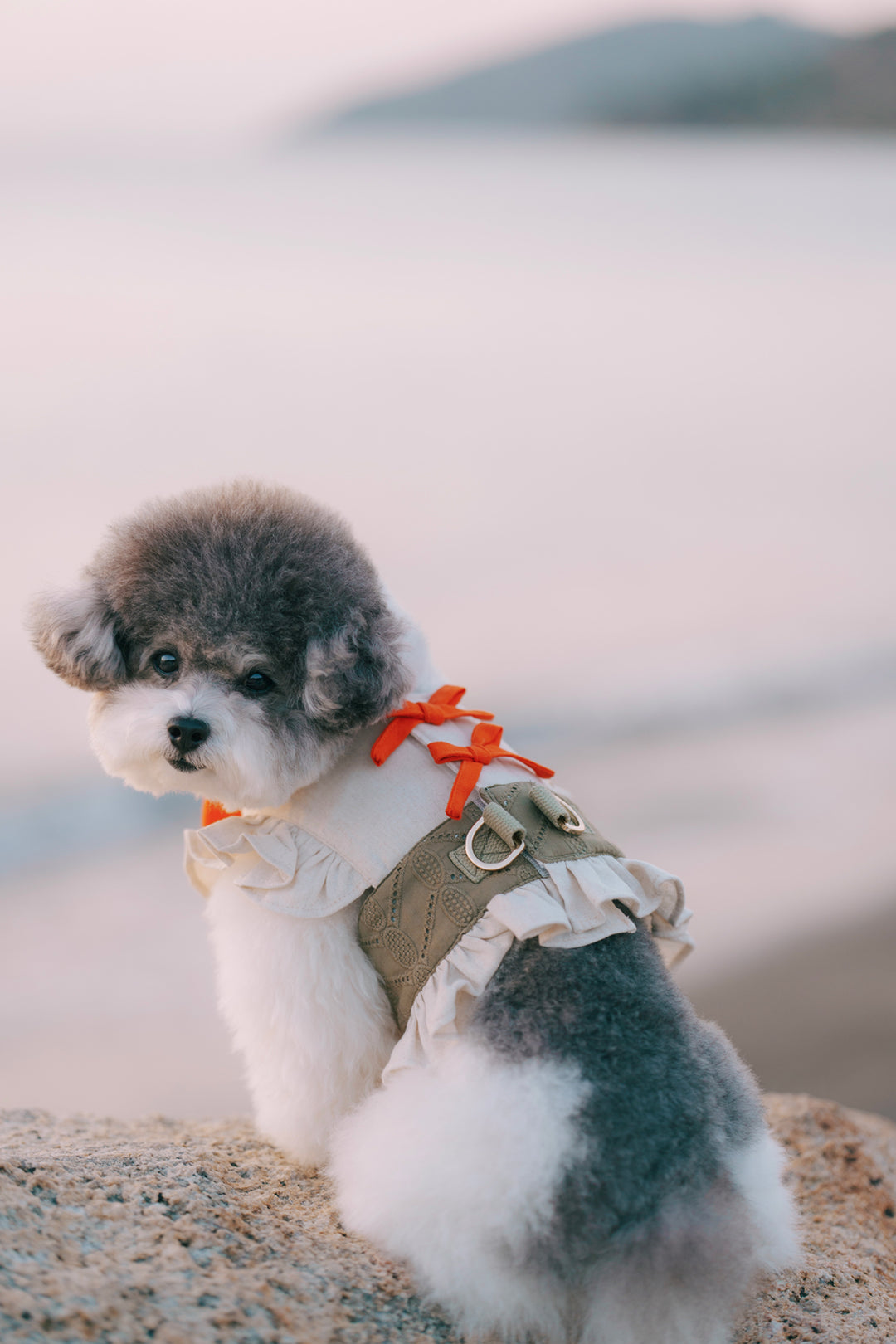 SAFARI HARNESS VEST (BACK VELCRO)