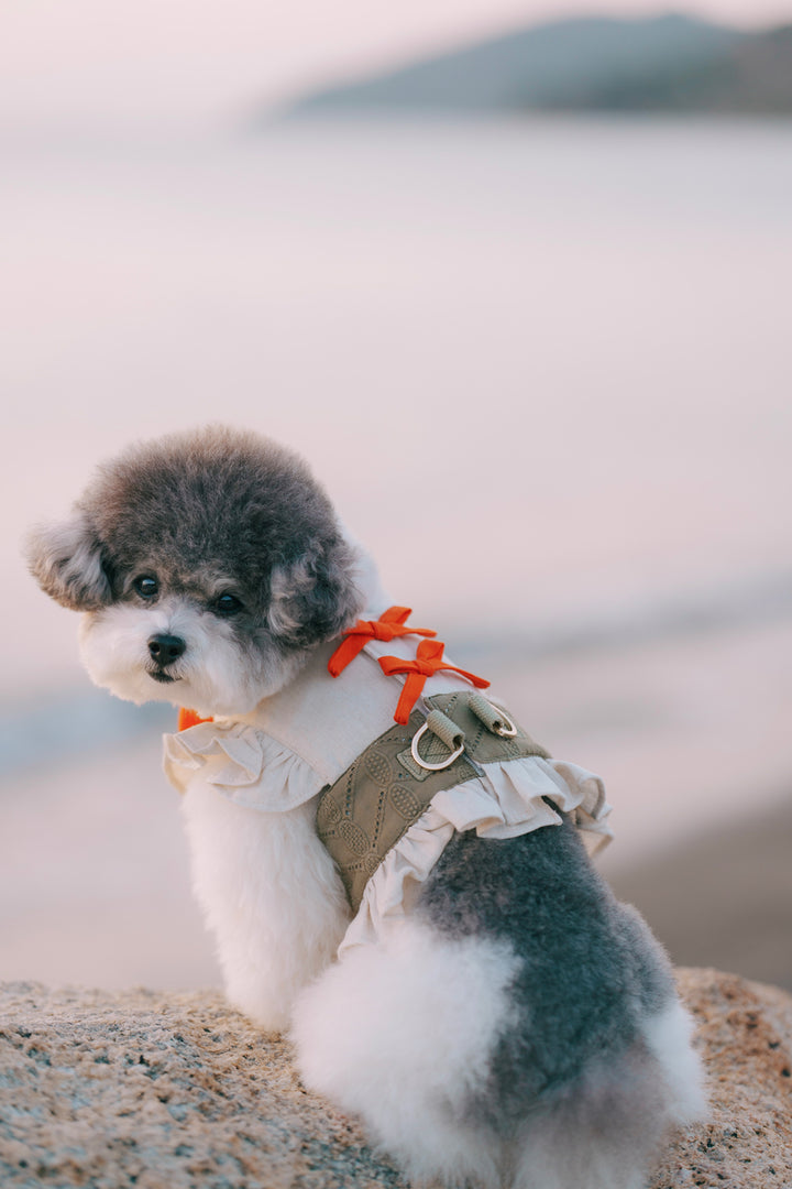 SAFARI HARNESS VEST (BACK VELCRO)