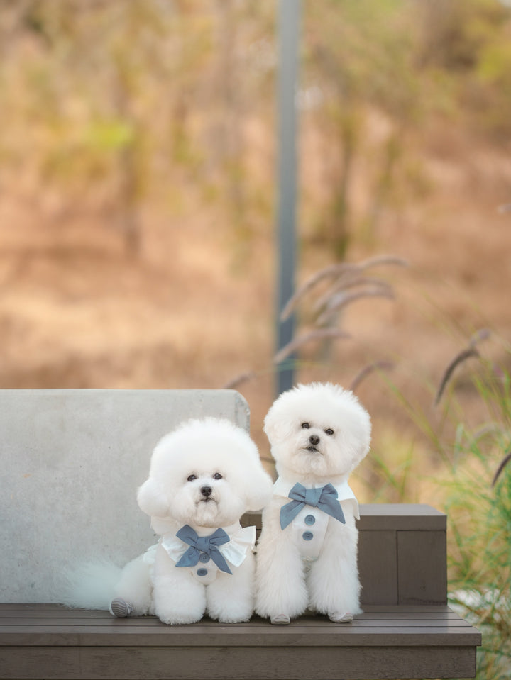 BLUEBELL HARNESS VEST (BACK VELCRO)