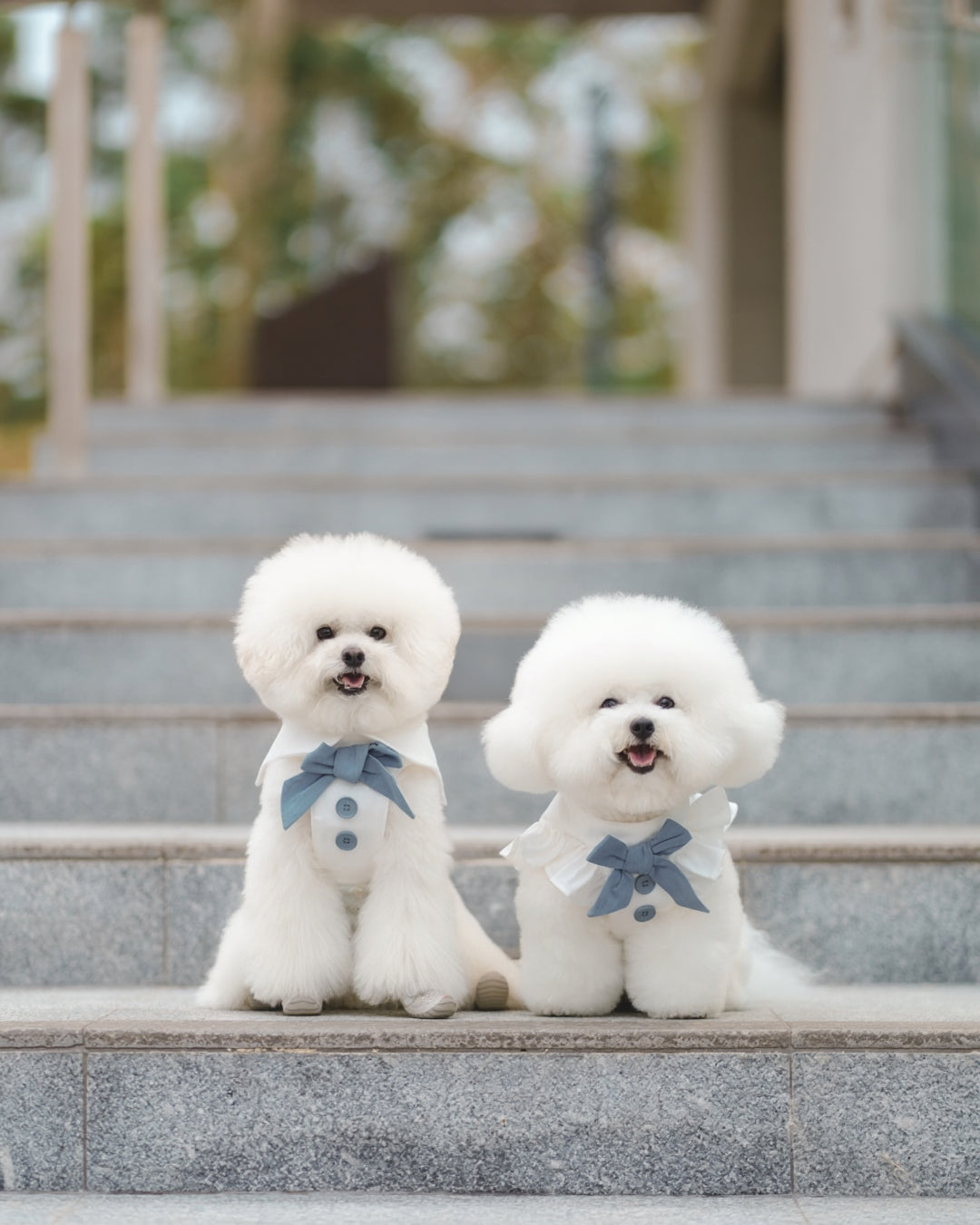 BLUEBELL HARNESS VEST (BACK VELCRO)