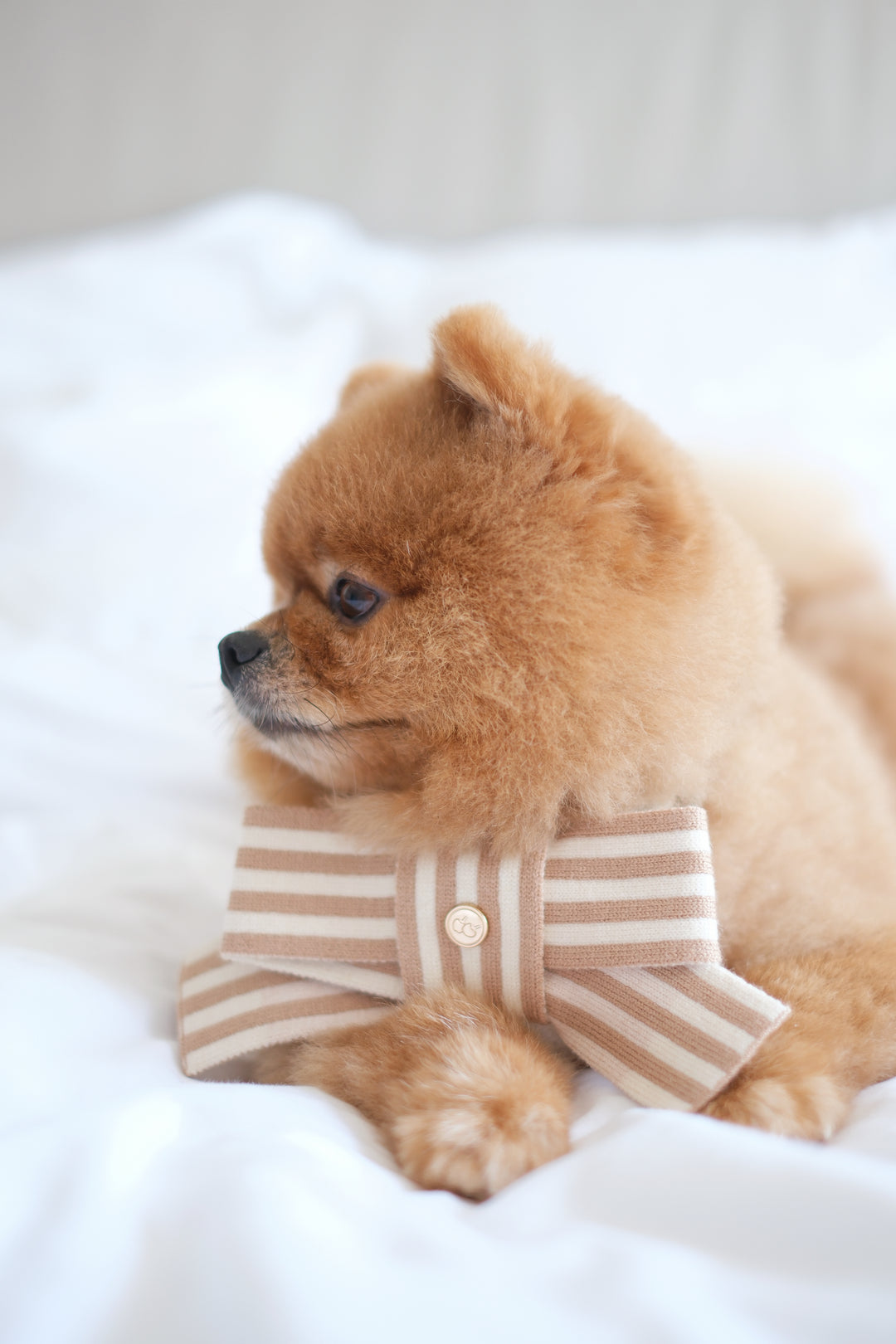 KNITTED BOW - CHAI LATTE