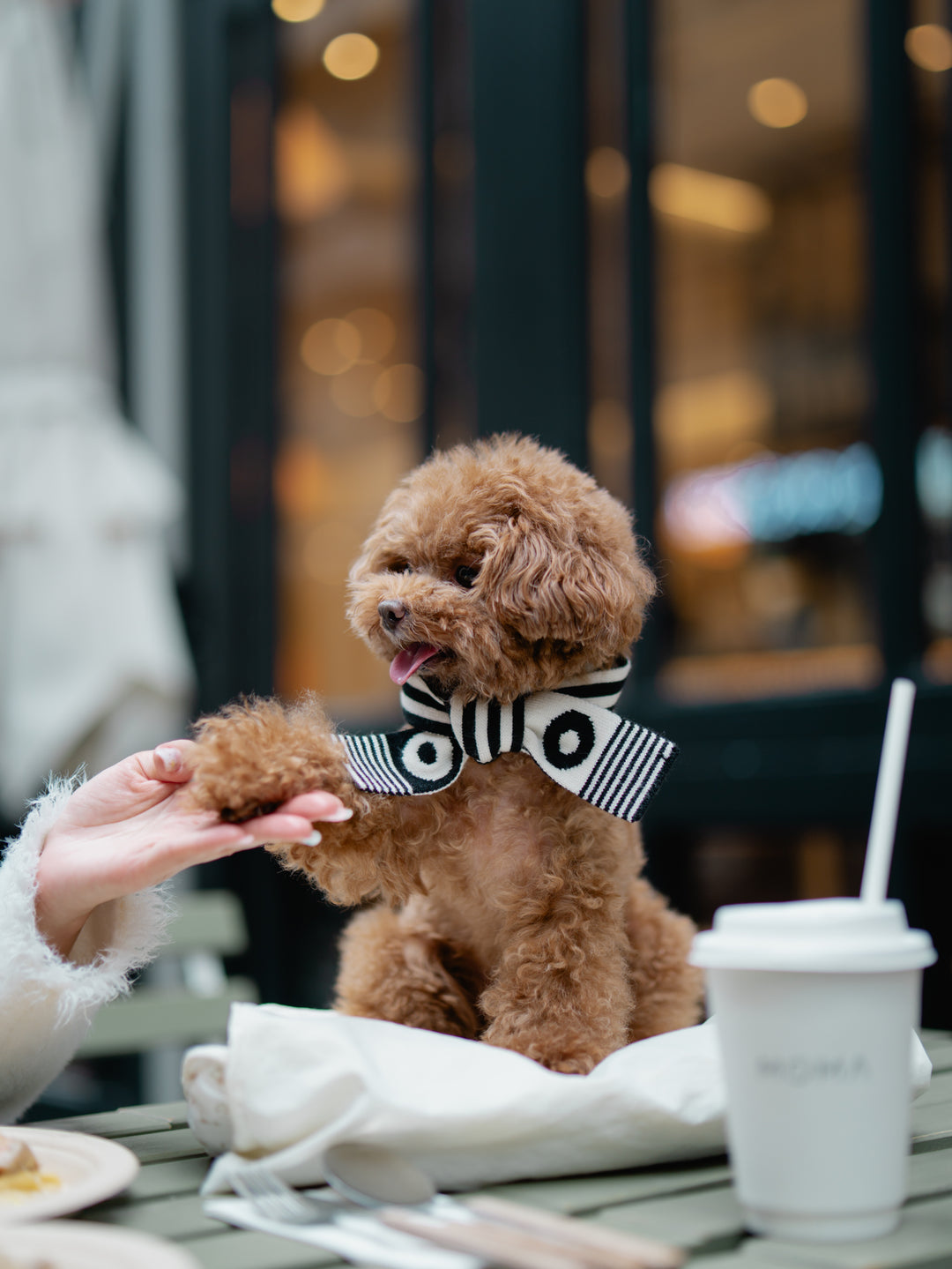 WINTER SCARF - BLACK & WHITE STRIPE