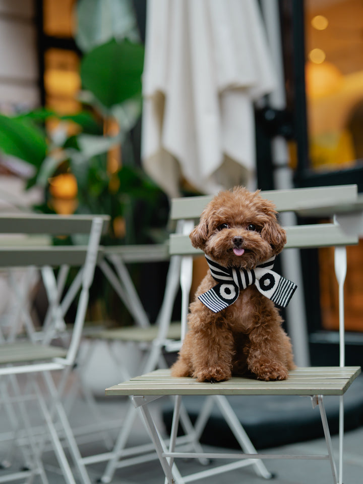 WINTER SCARF - BLACK & WHITE STRIPE