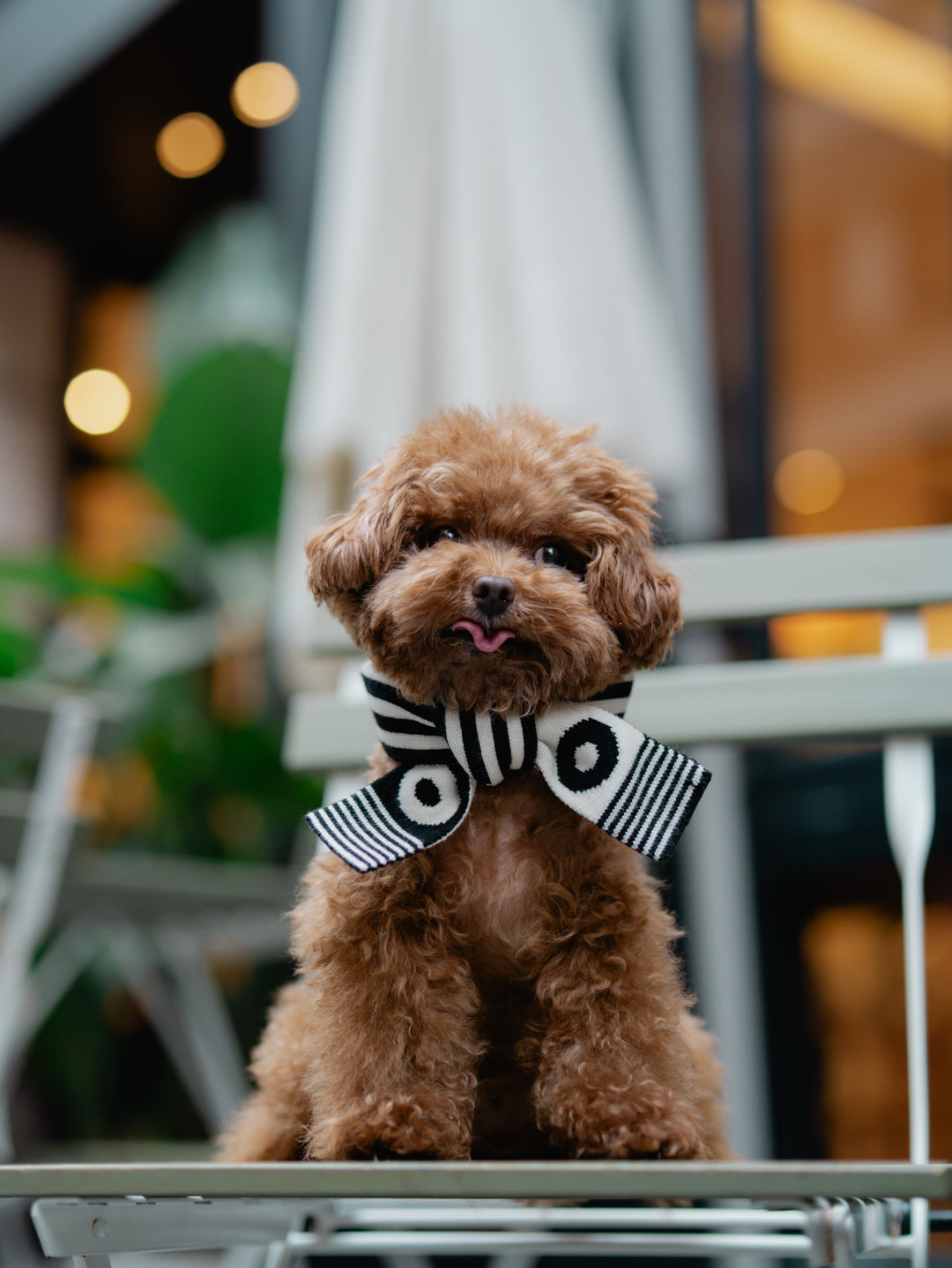 WINTER SCARF - BLACK & WHITE STRIPE
