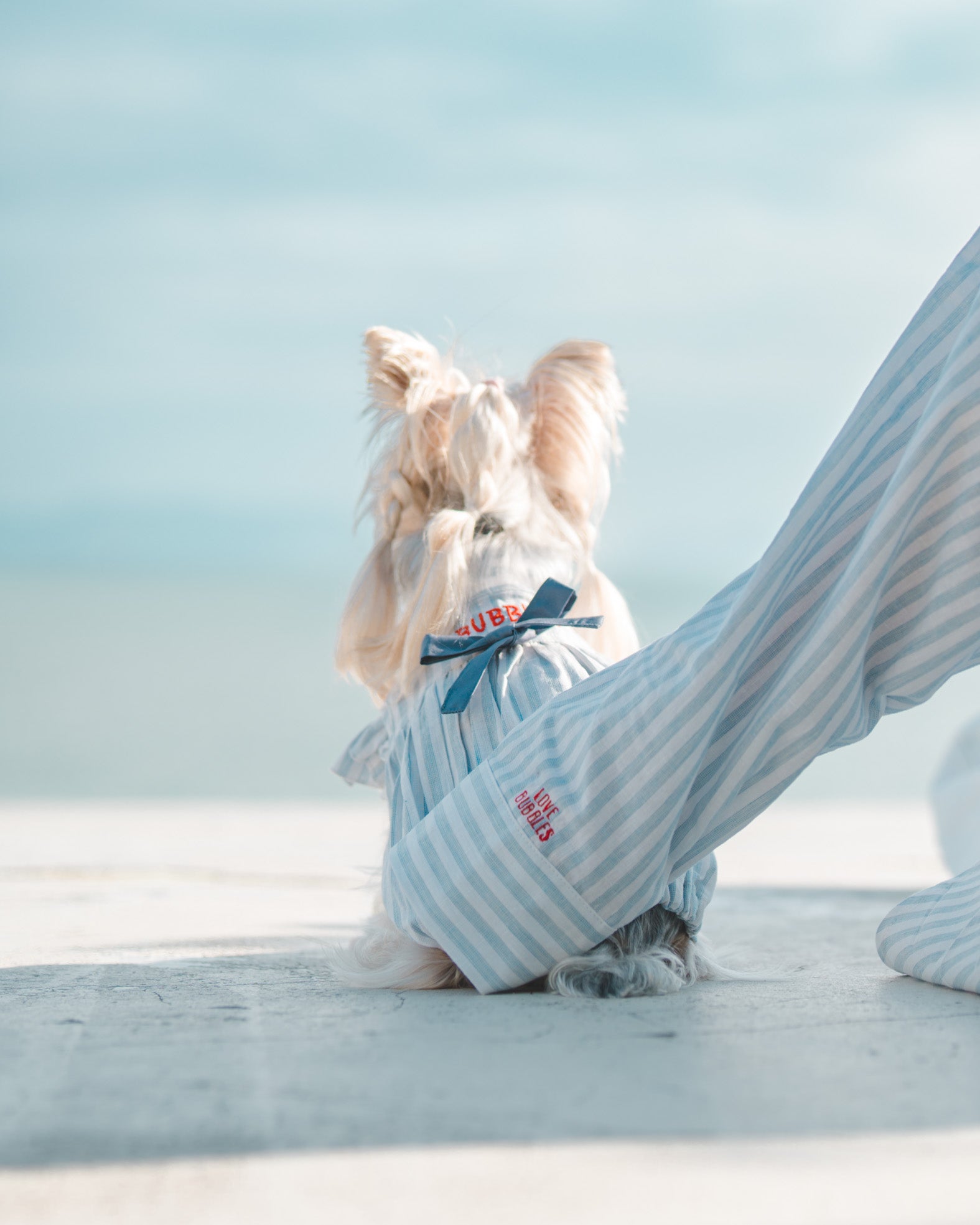 SKYLINE STRIPES LINEN SHIRT – Candy Apple Pet Supply