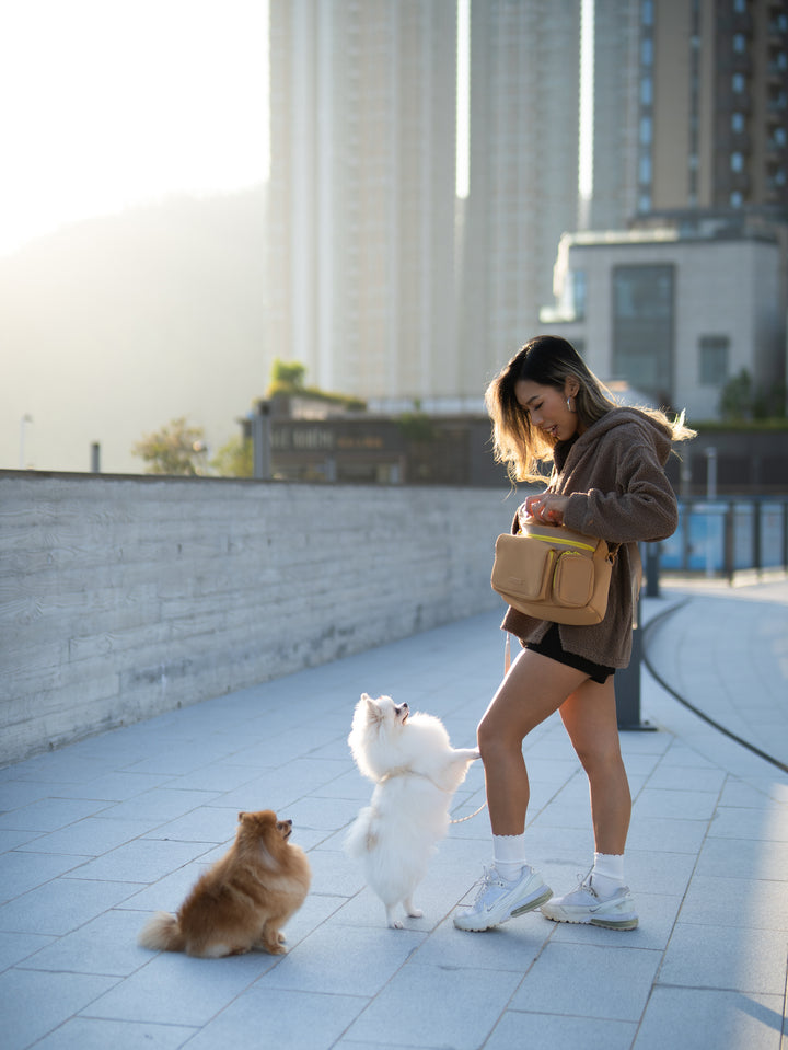 STROLL &amp; GO (2-WAY) BAG (CARAMEL)