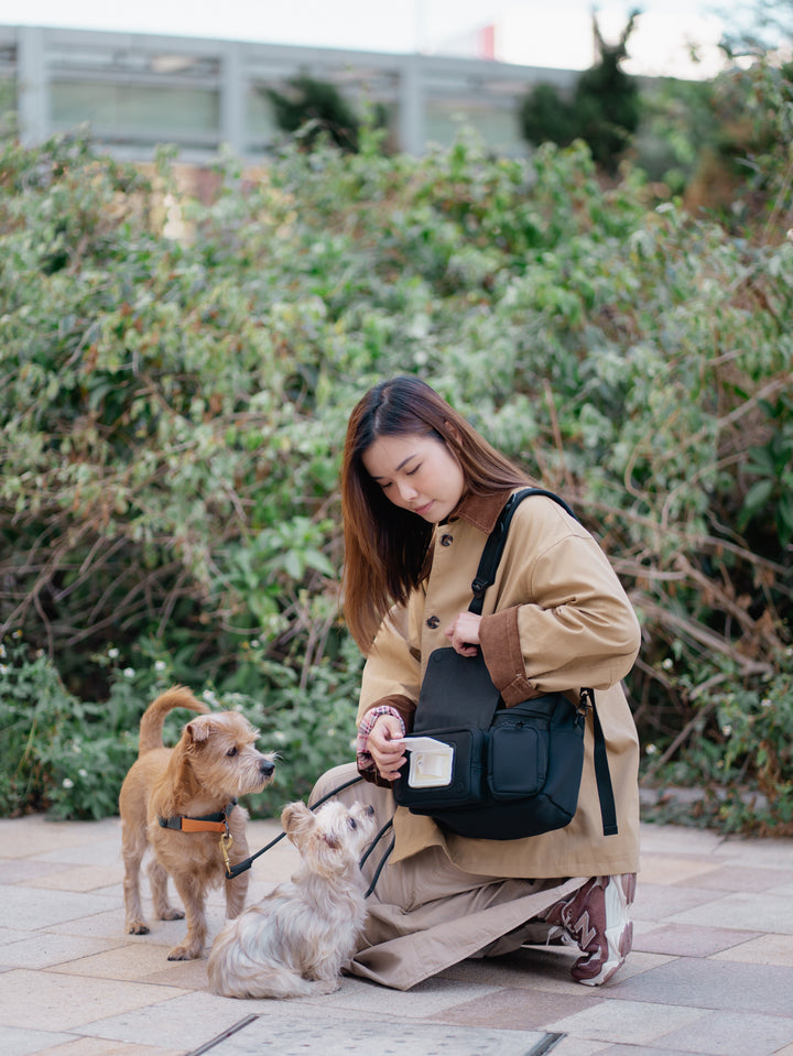 STROLL &amp; GO (2-WAY) BAG (BLACK)