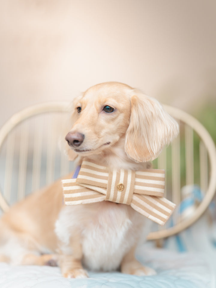 KNITTED BOW - CHAI LATTE