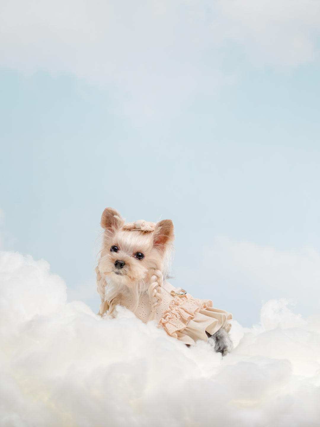 BISCUIT BEIGE HARNESS