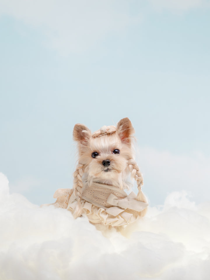 BISCUIT BEIGE HARNESS