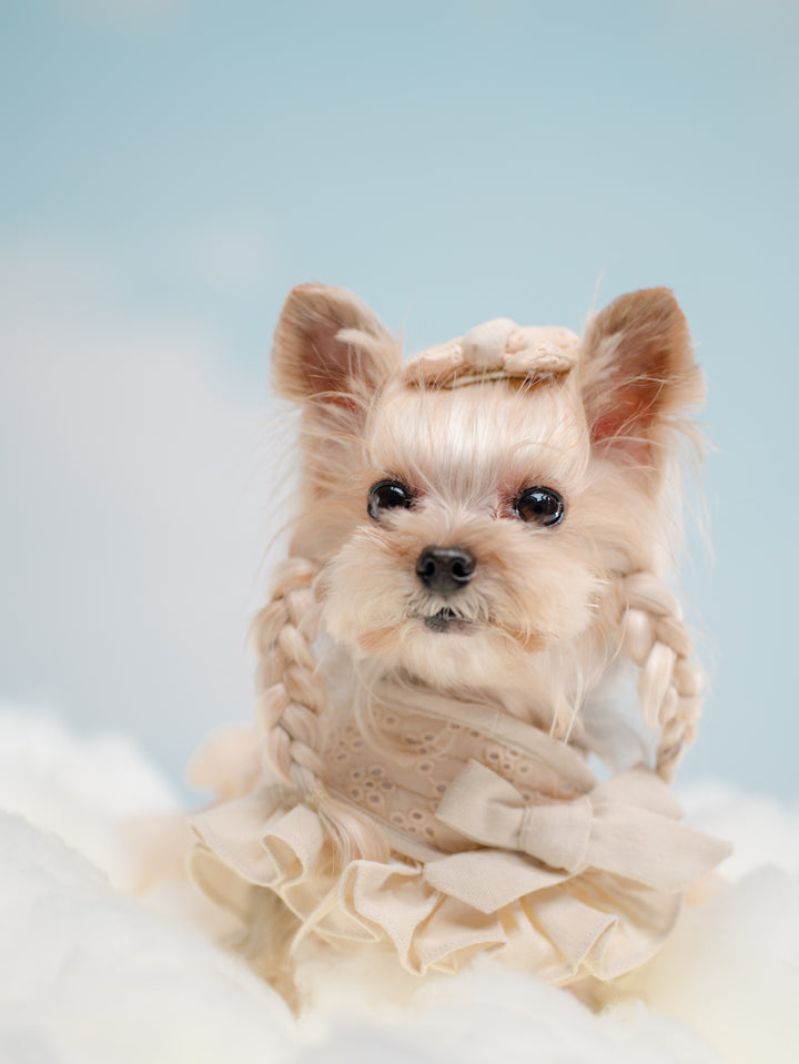 BISCUIT BEIGE HARNESS