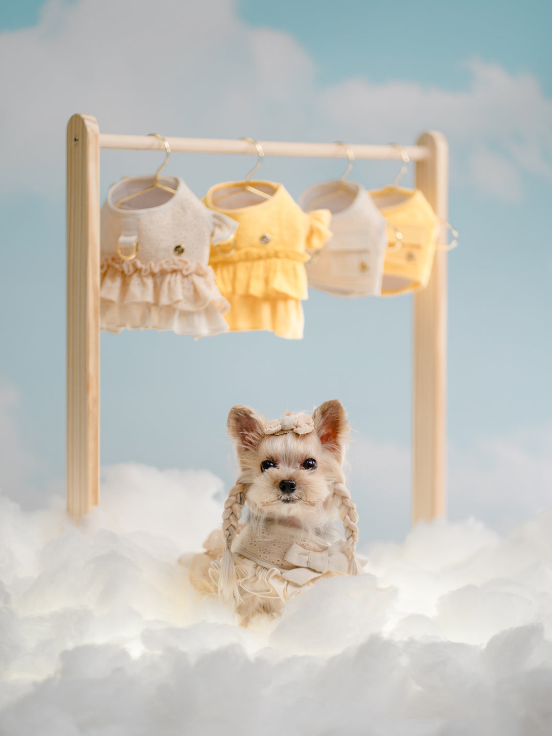 BISCUIT BEIGE HARNESS
