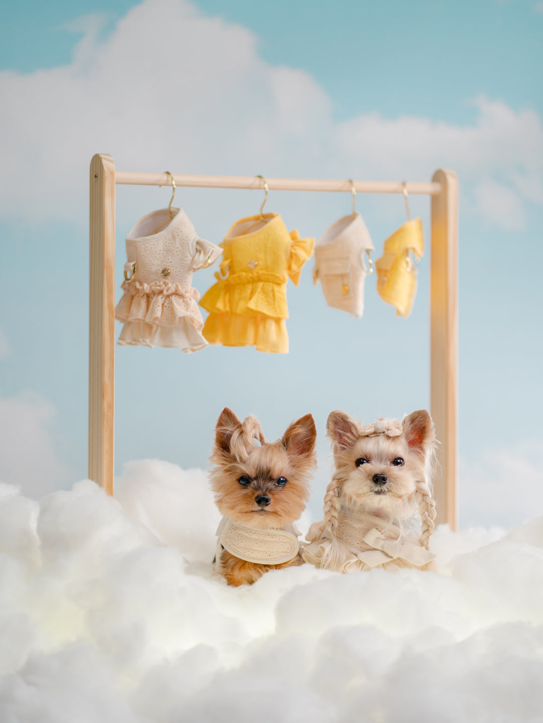 BISCUIT BEIGE HARNESS