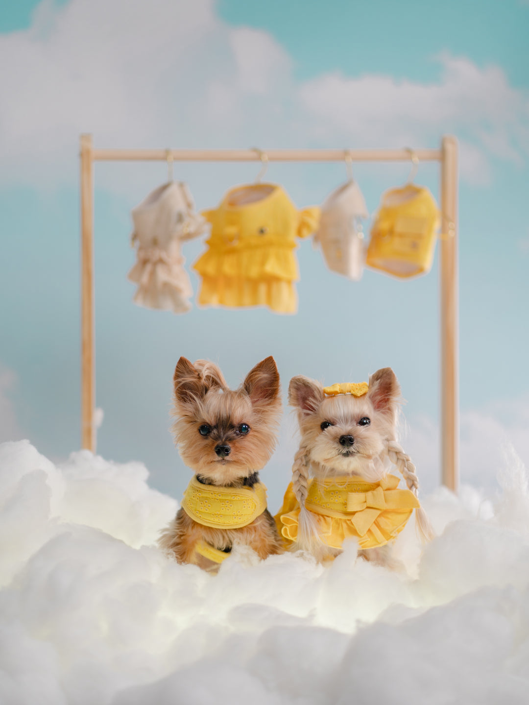 BUTTERCUP YELLOW HARNESS