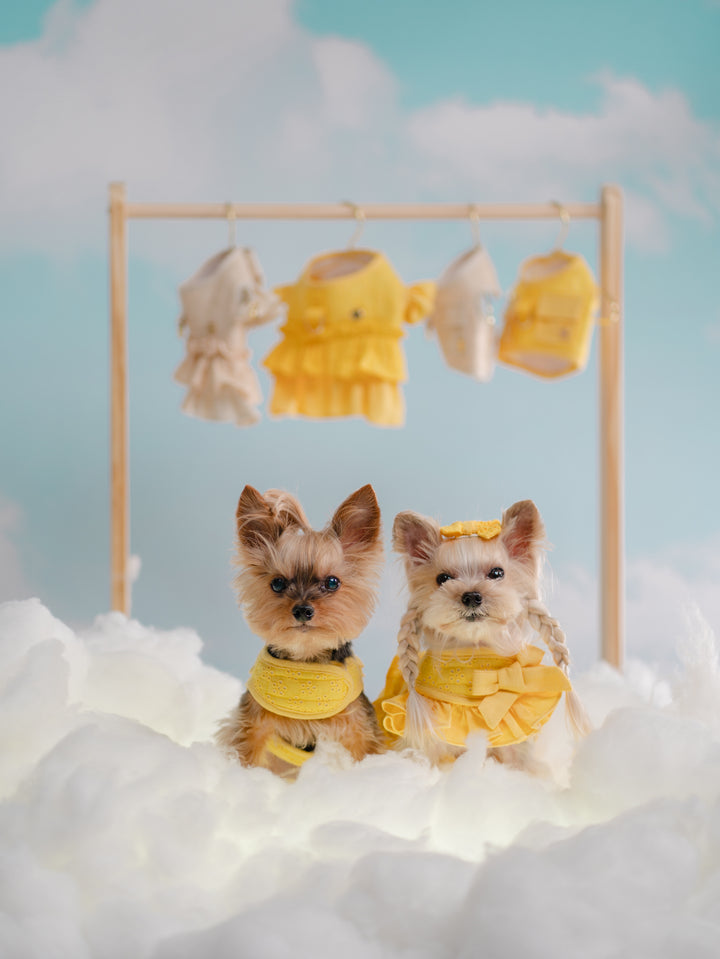 BUTTERCUP YELLOW HARNESS
