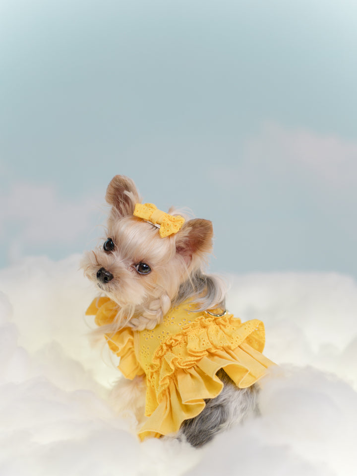 BUTTERCUP YELLOW HARNESS