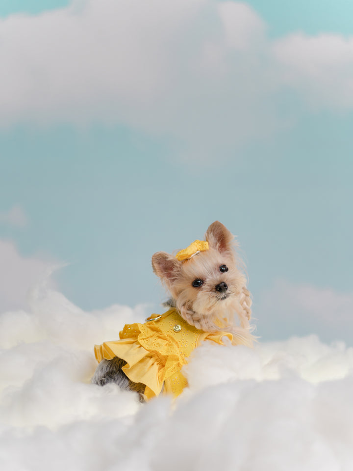 BUTTERCUP YELLOW HARNESS