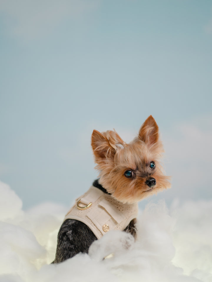 BISCUIT BEIGE HARNESS