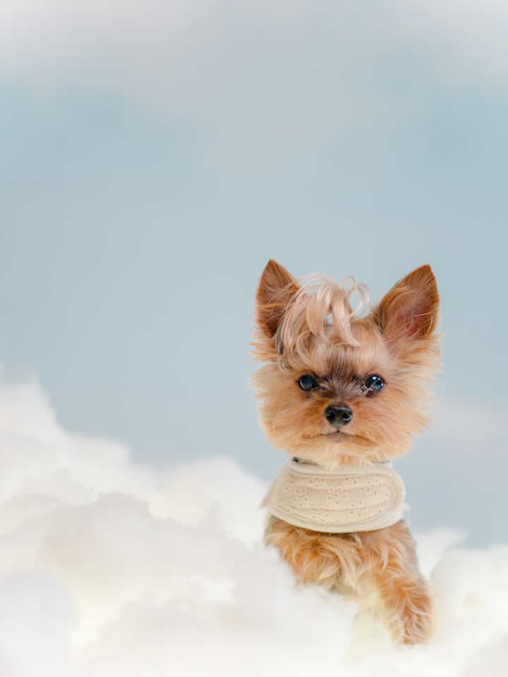 BISCUIT BEIGE HARNESS