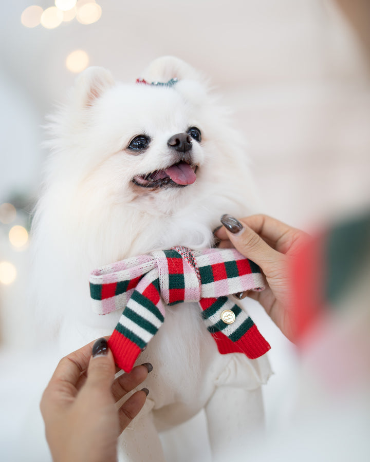 MERRY & BRIGHT CHECKERED SCARF