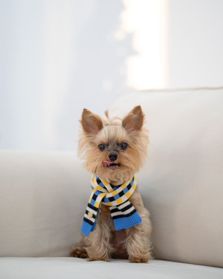 MIDNIGHT SKY CHECKERED SCARF