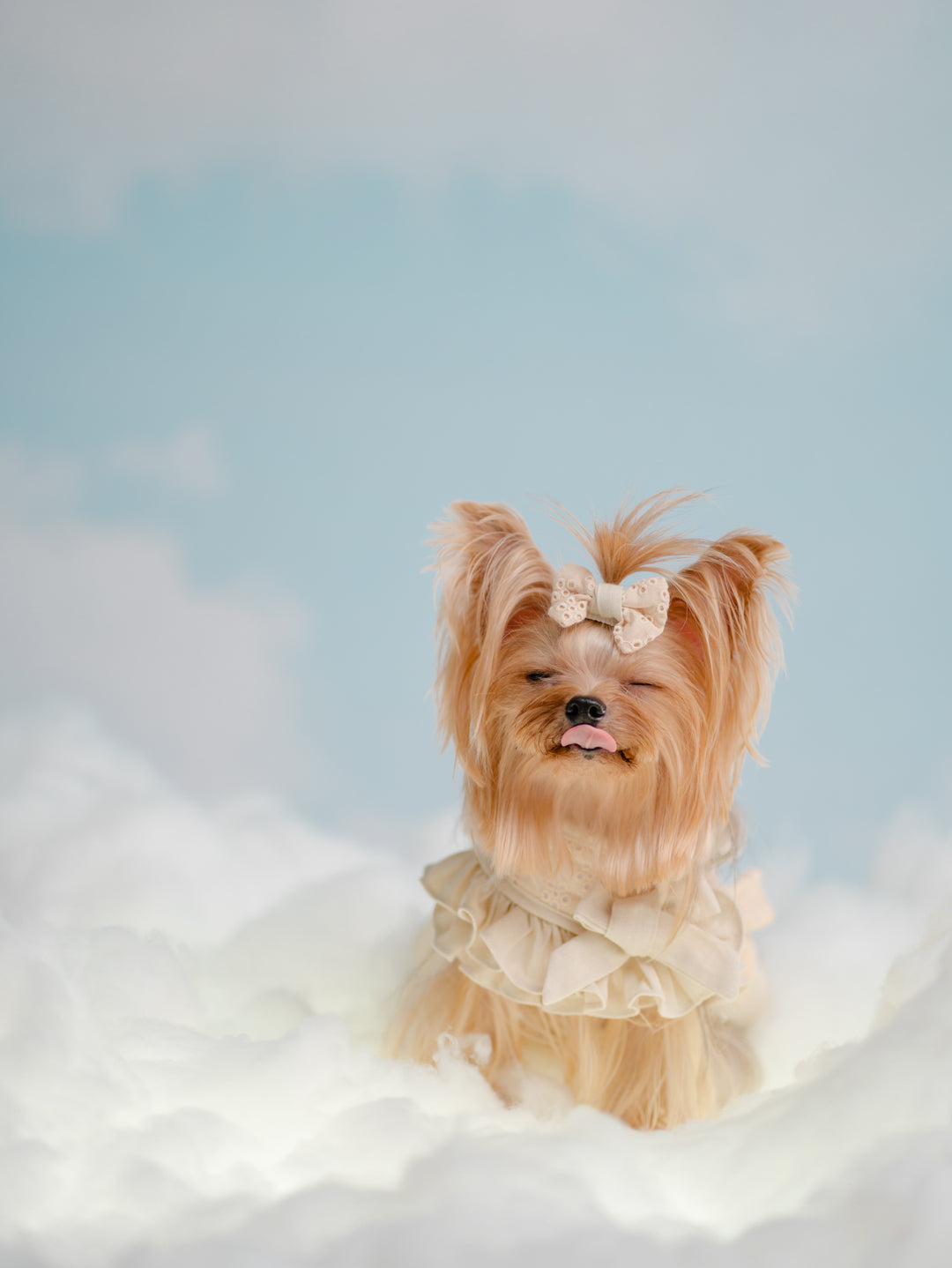 BISCUIT BEIGE HARNESS