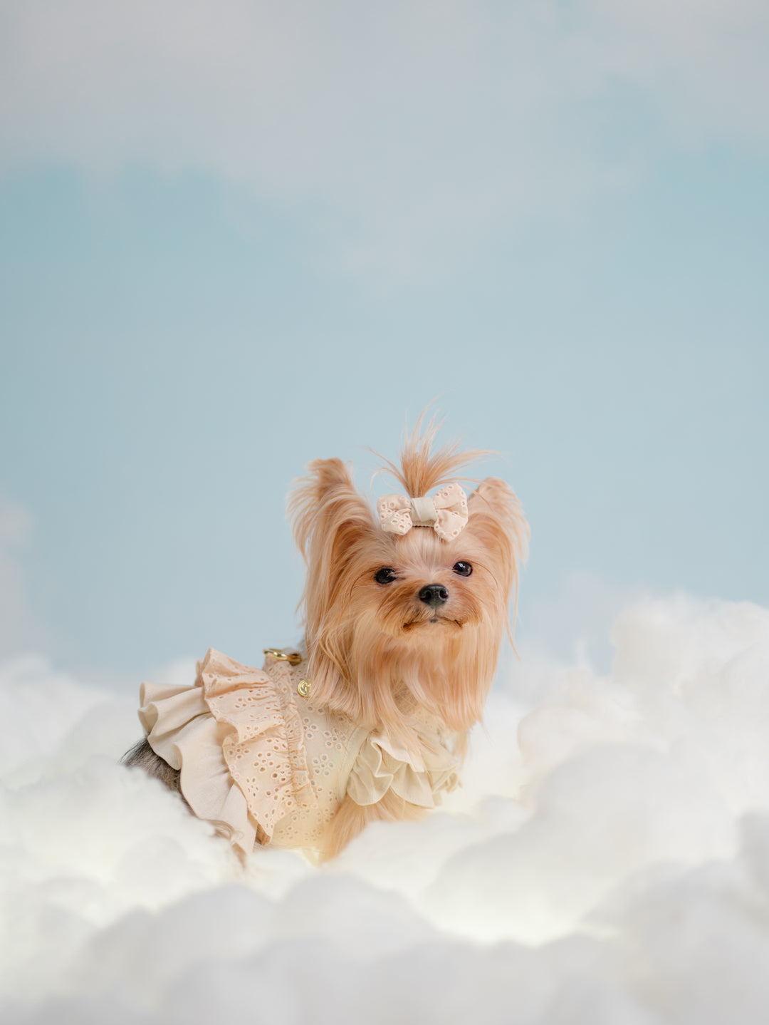 BISCUIT BEIGE HARNESS