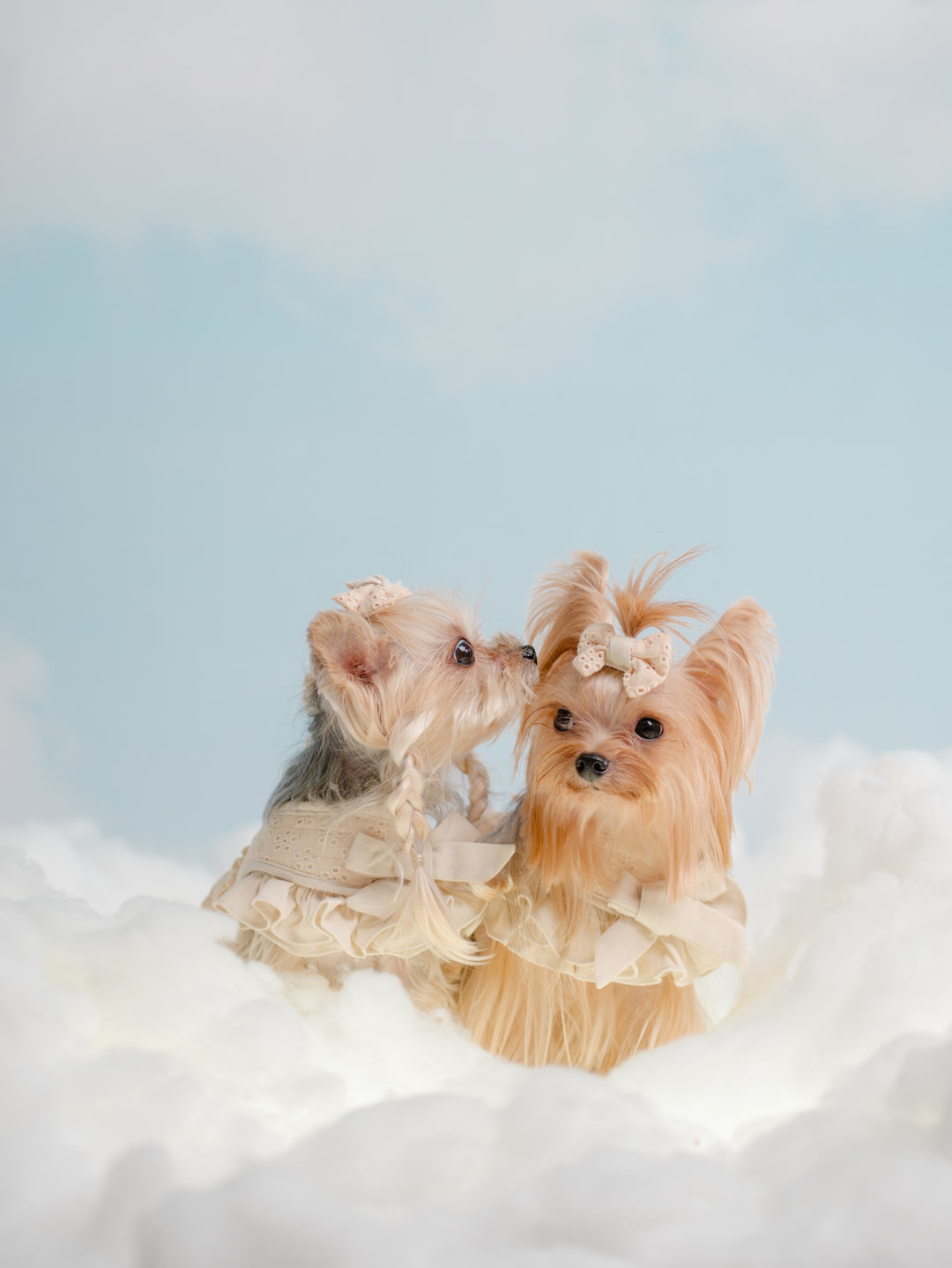 BISCUIT BEIGE HARNESS