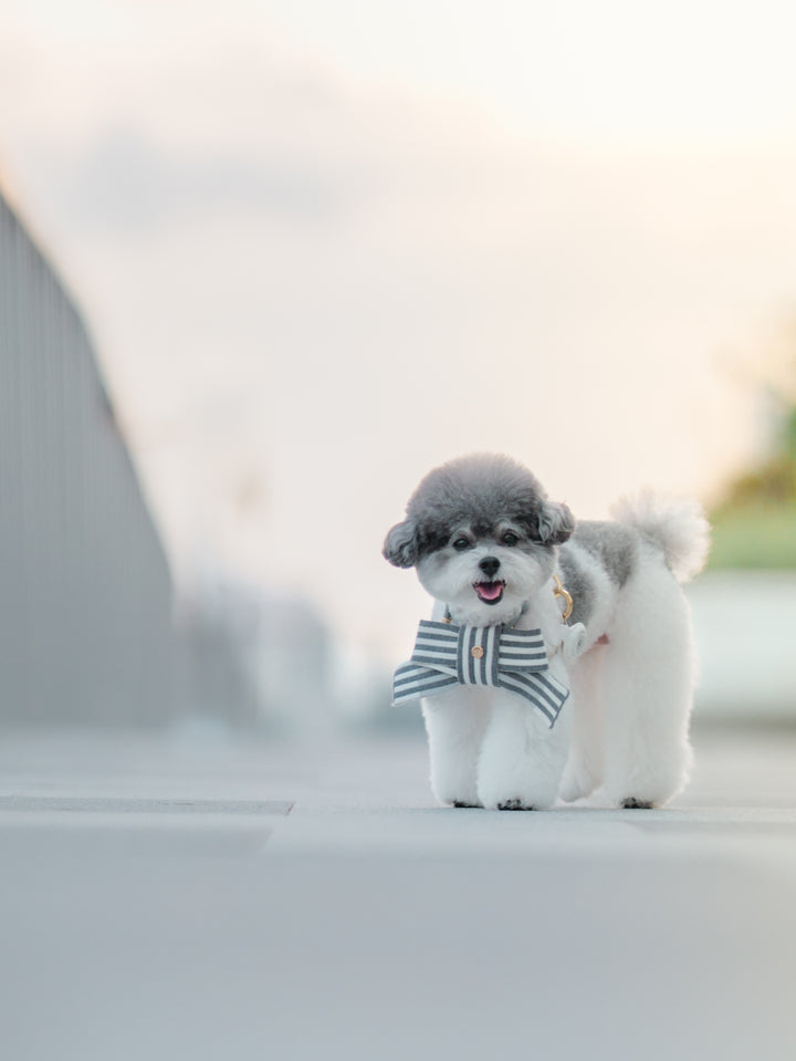 KNITTED BOW - SESAME MOCHI