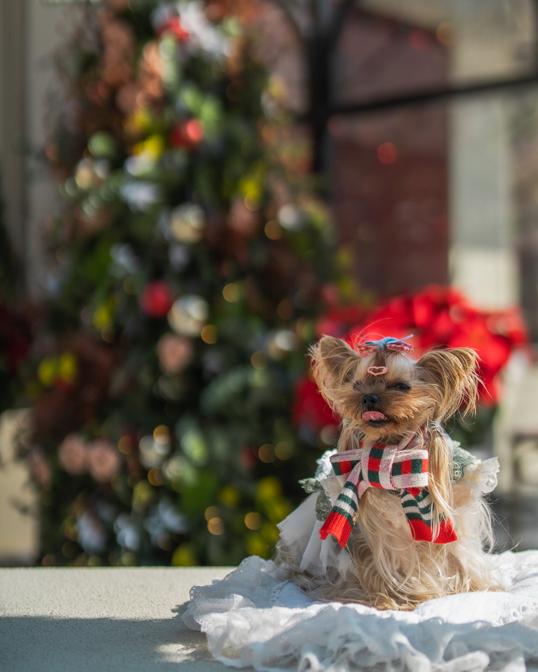 MERRY & BRIGHT CHECKERED SCARF