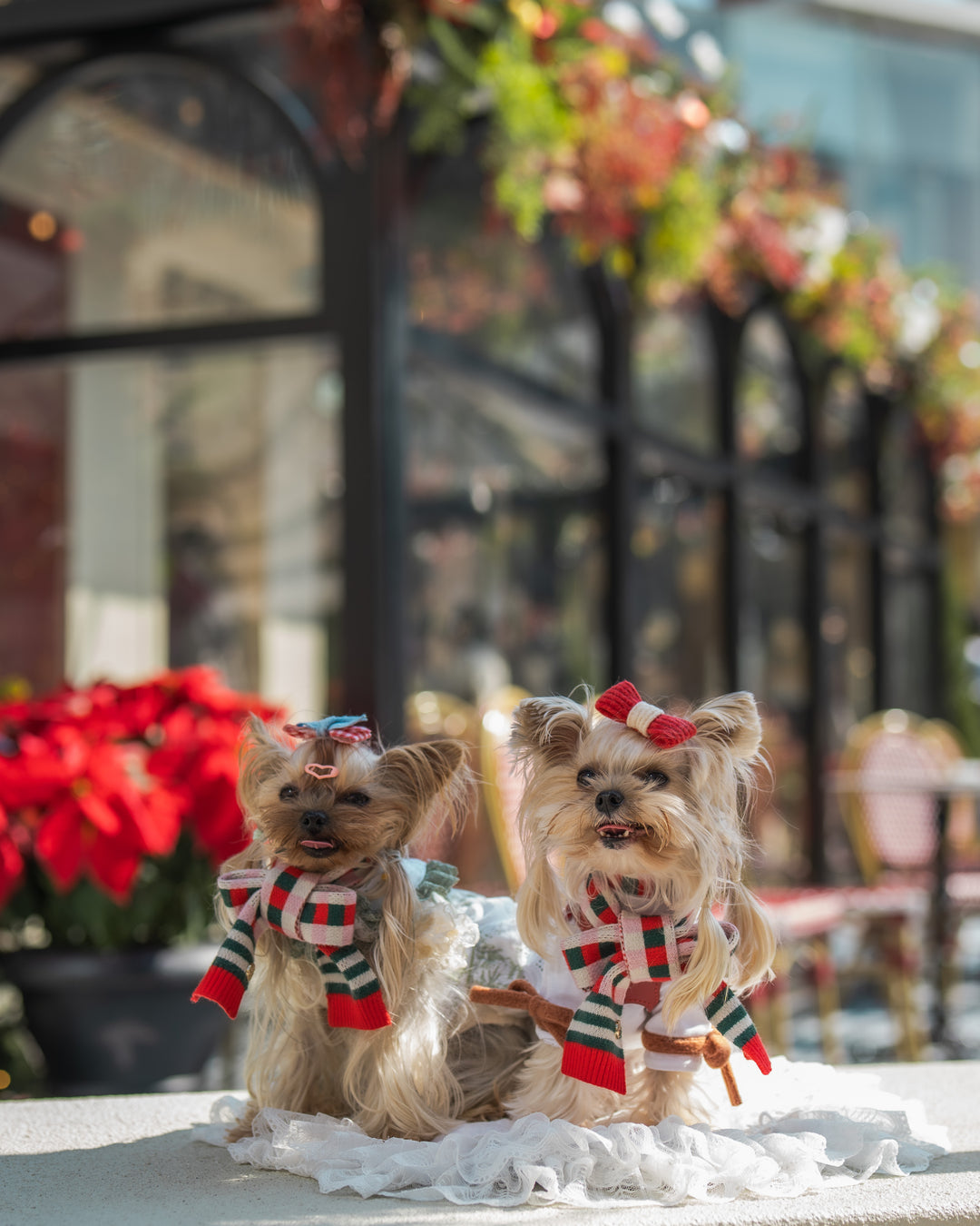 MERRY & BRIGHT CHECKERED SCARF