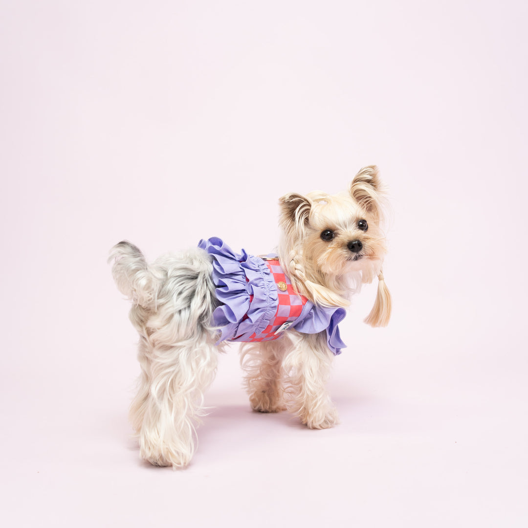 Ruffle Harness - Purple Checker