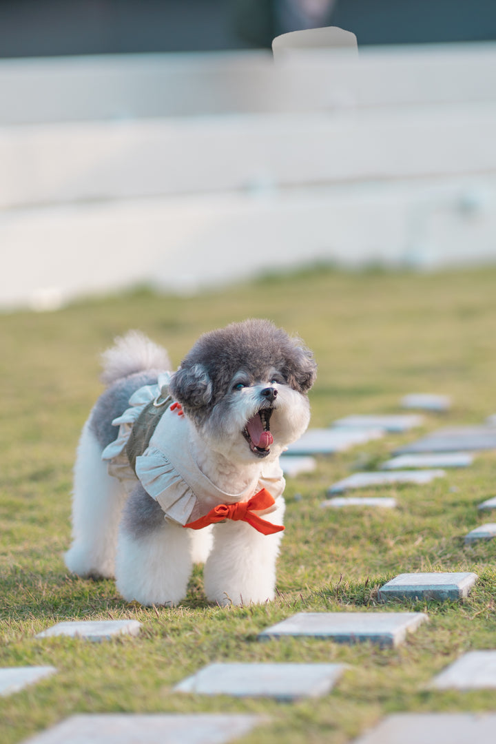 SAFARI HARNESS VEST (BACK VELCRO)