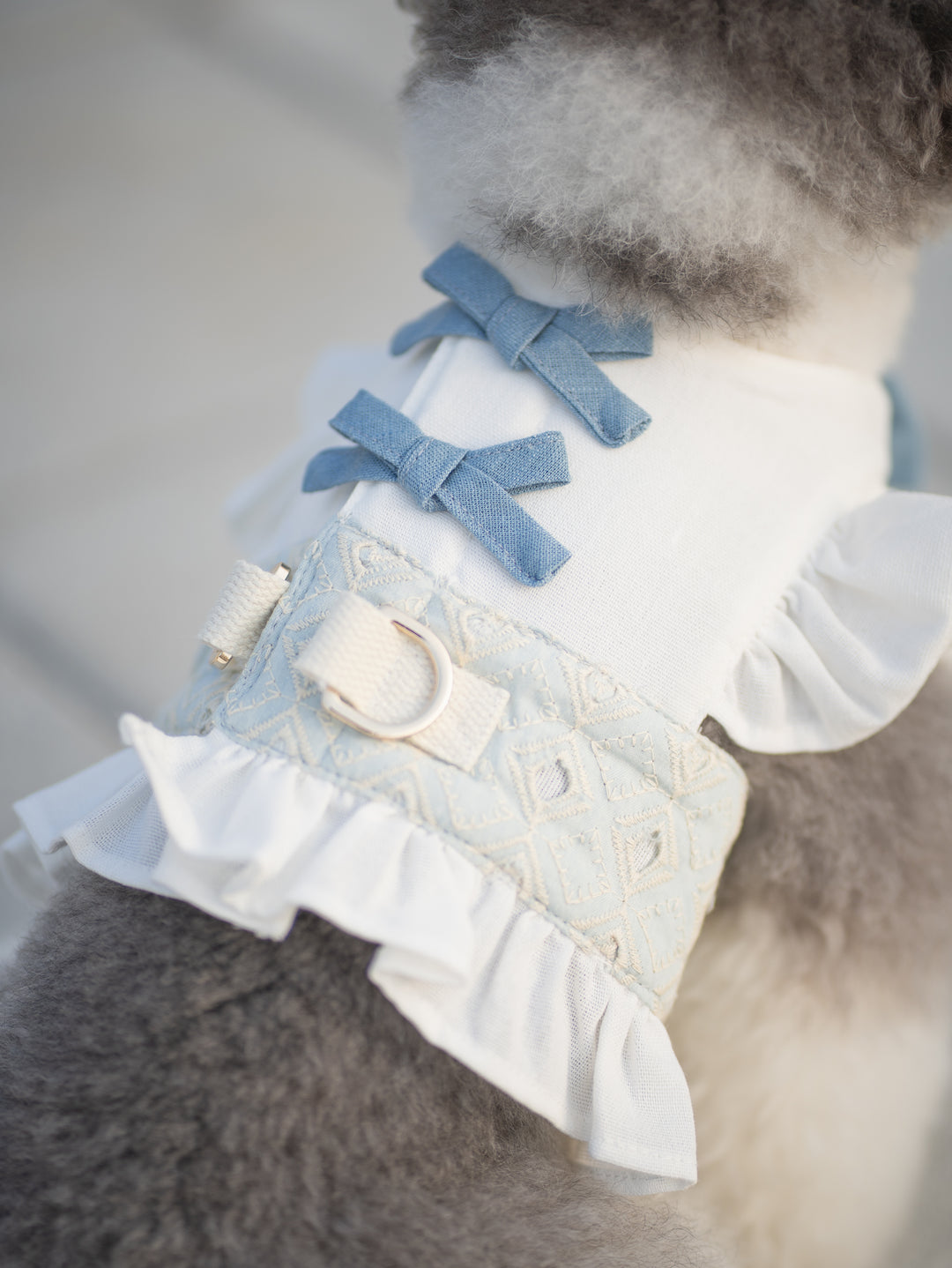 BLUEBELL HARNESS VEST (BACK VELCRO)