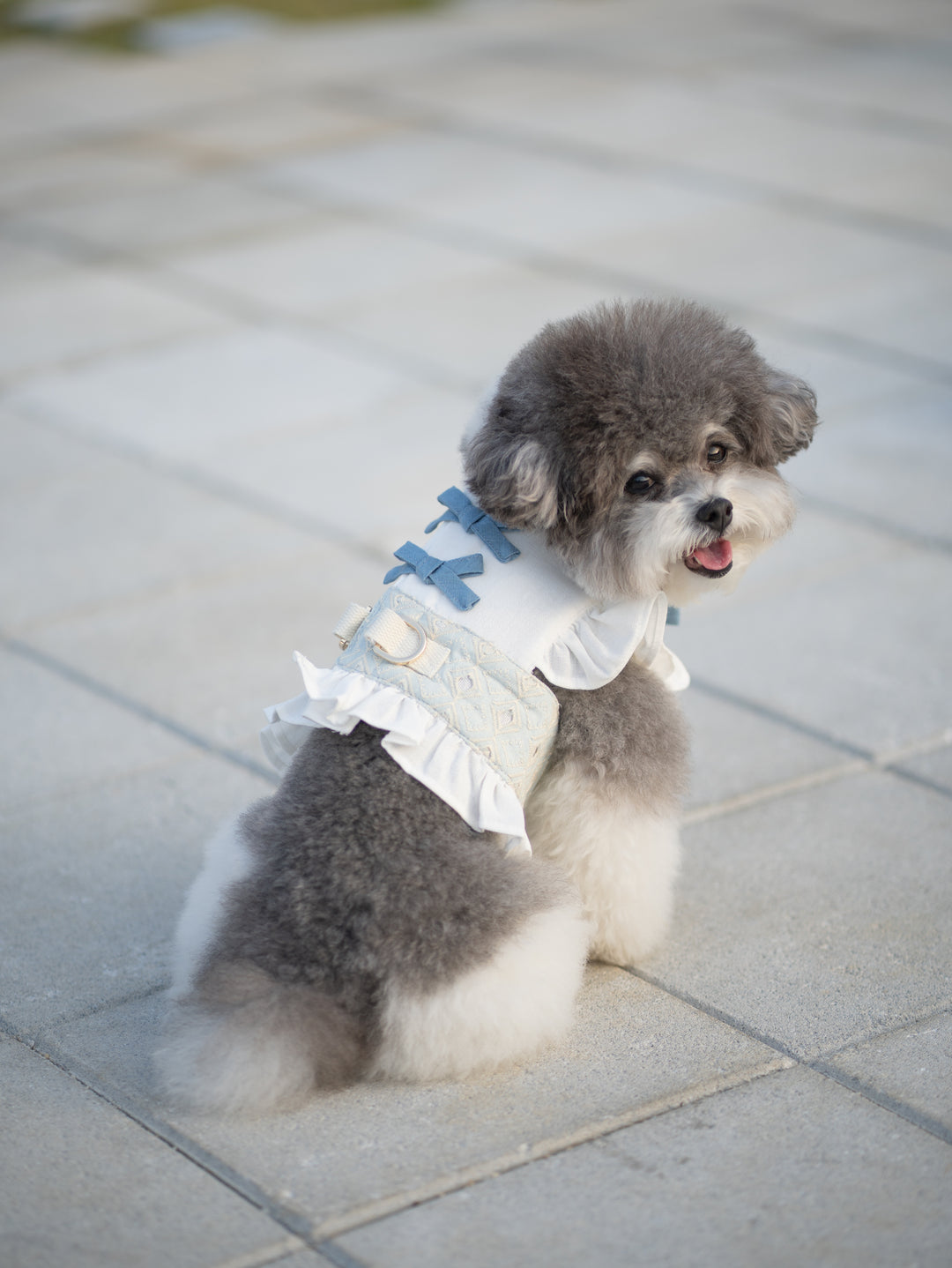 BLUEBELL HARNESS VEST (BACK VELCRO)