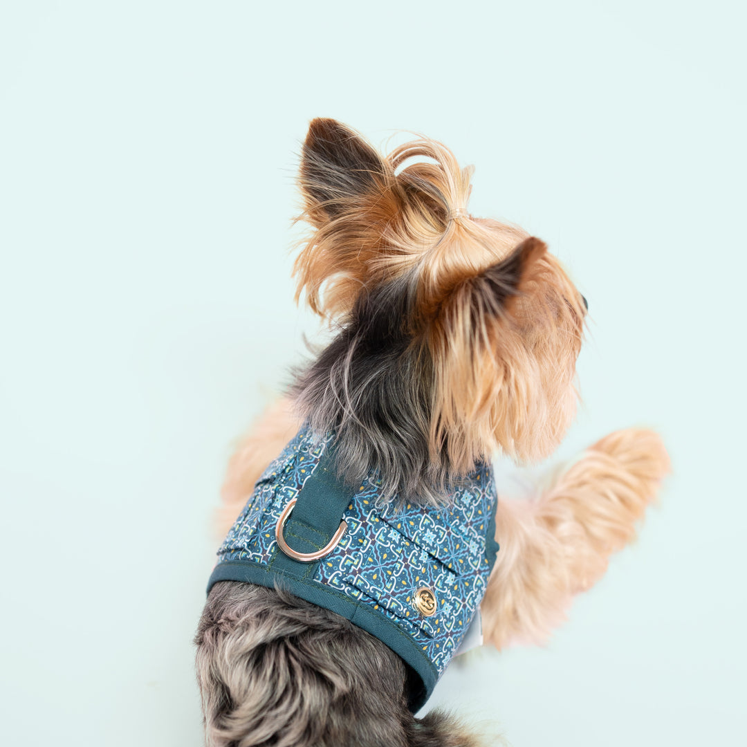 Velcro Harness - Turquoise Moroccan Print