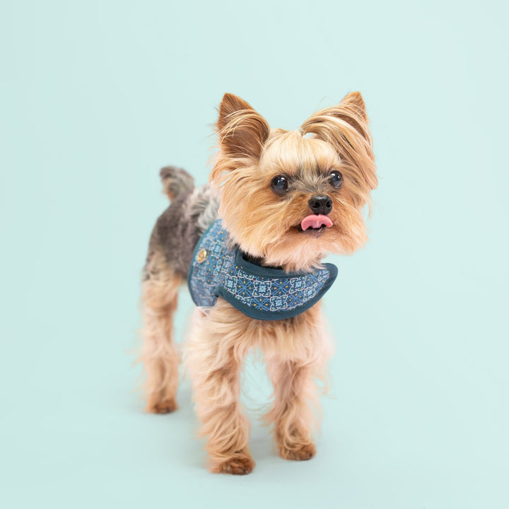 Velcro Harness - Turquoise Moroccan Print