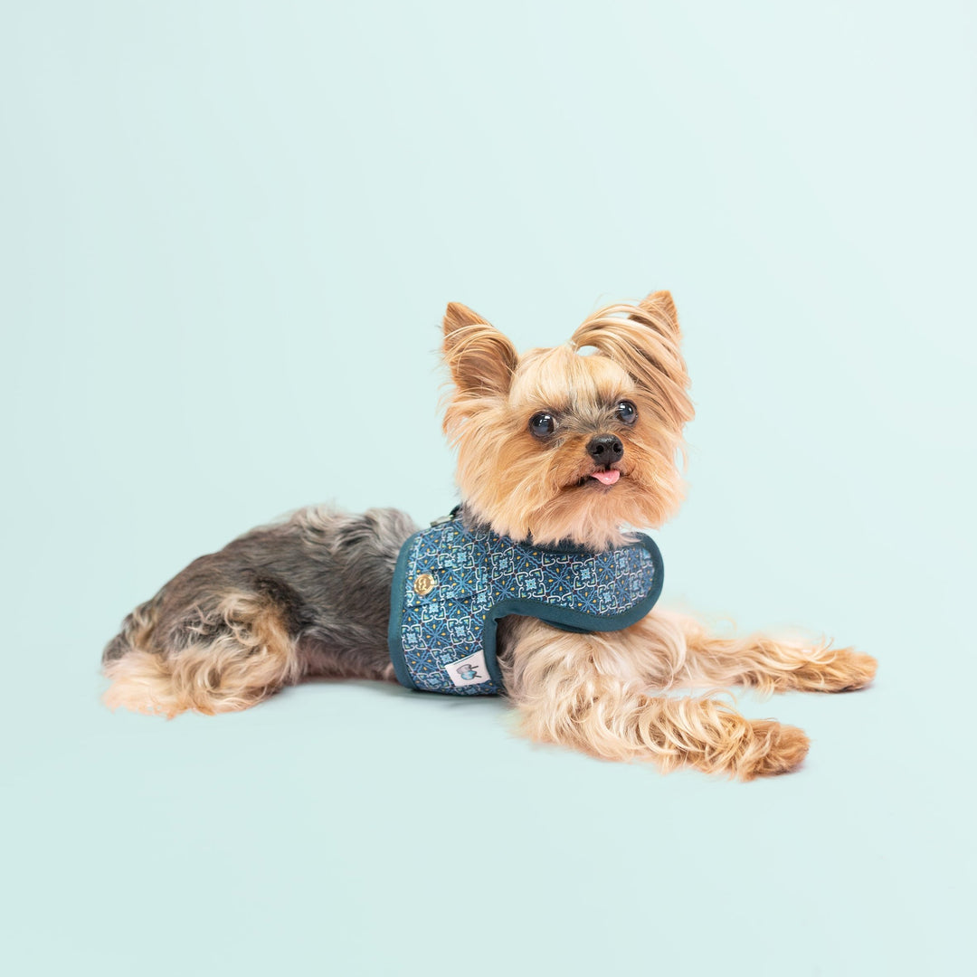 Velcro Harness - Turquoise Moroccan Print